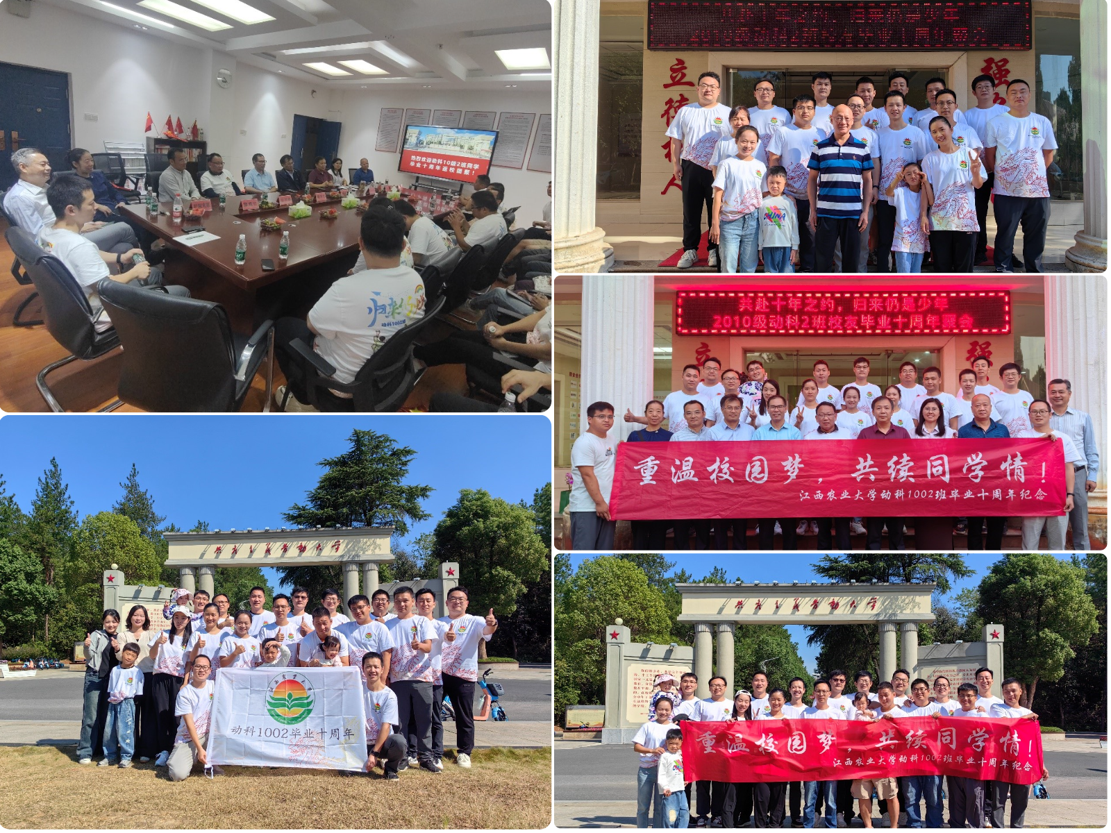 imageMerge2024-10-09 15:28:13 .png