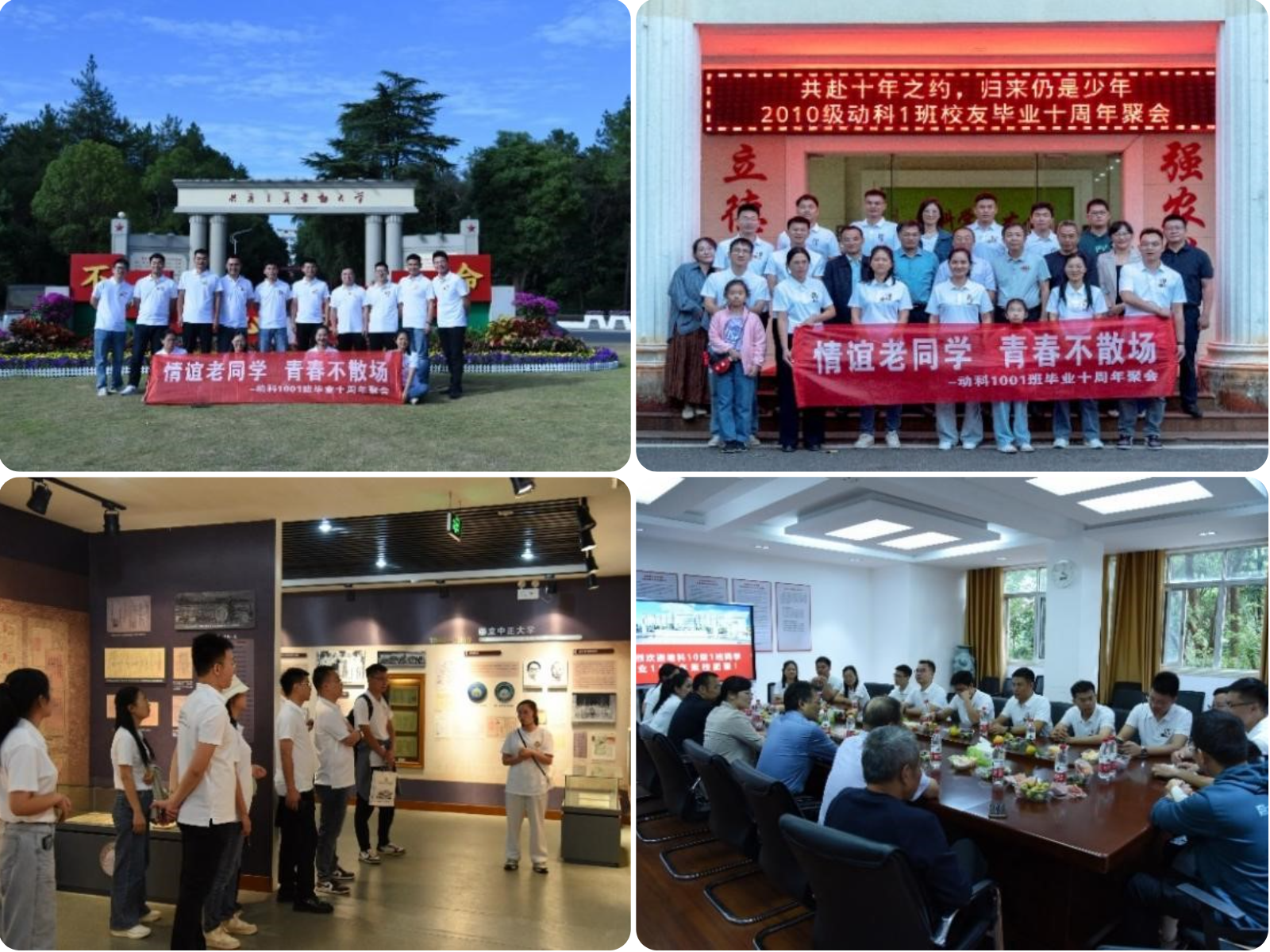 imageMerge2024-10-09 15:22:43 .png